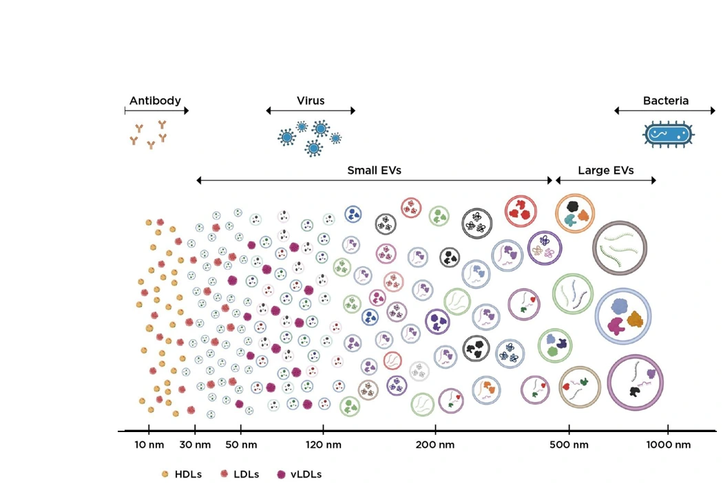 Scientific size spectrum showing LOD of current nanoscale flow cytometers